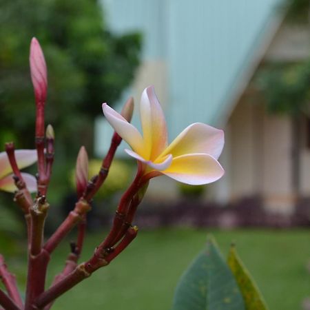 Touch Star Resort - Doi Inthanon Chom Thong Exterior foto