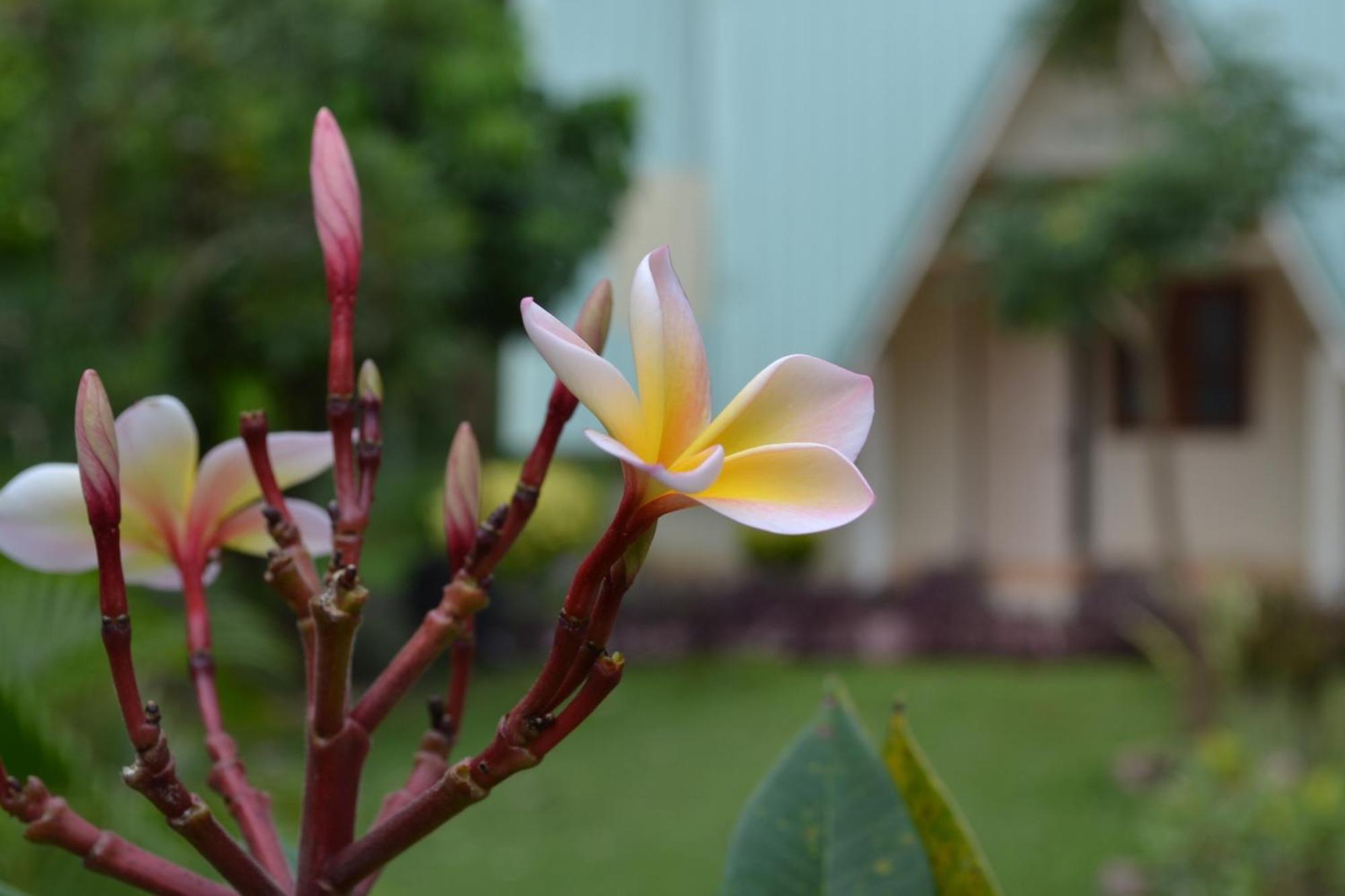 Touch Star Resort - Doi Inthanon Chom Thong Exterior foto