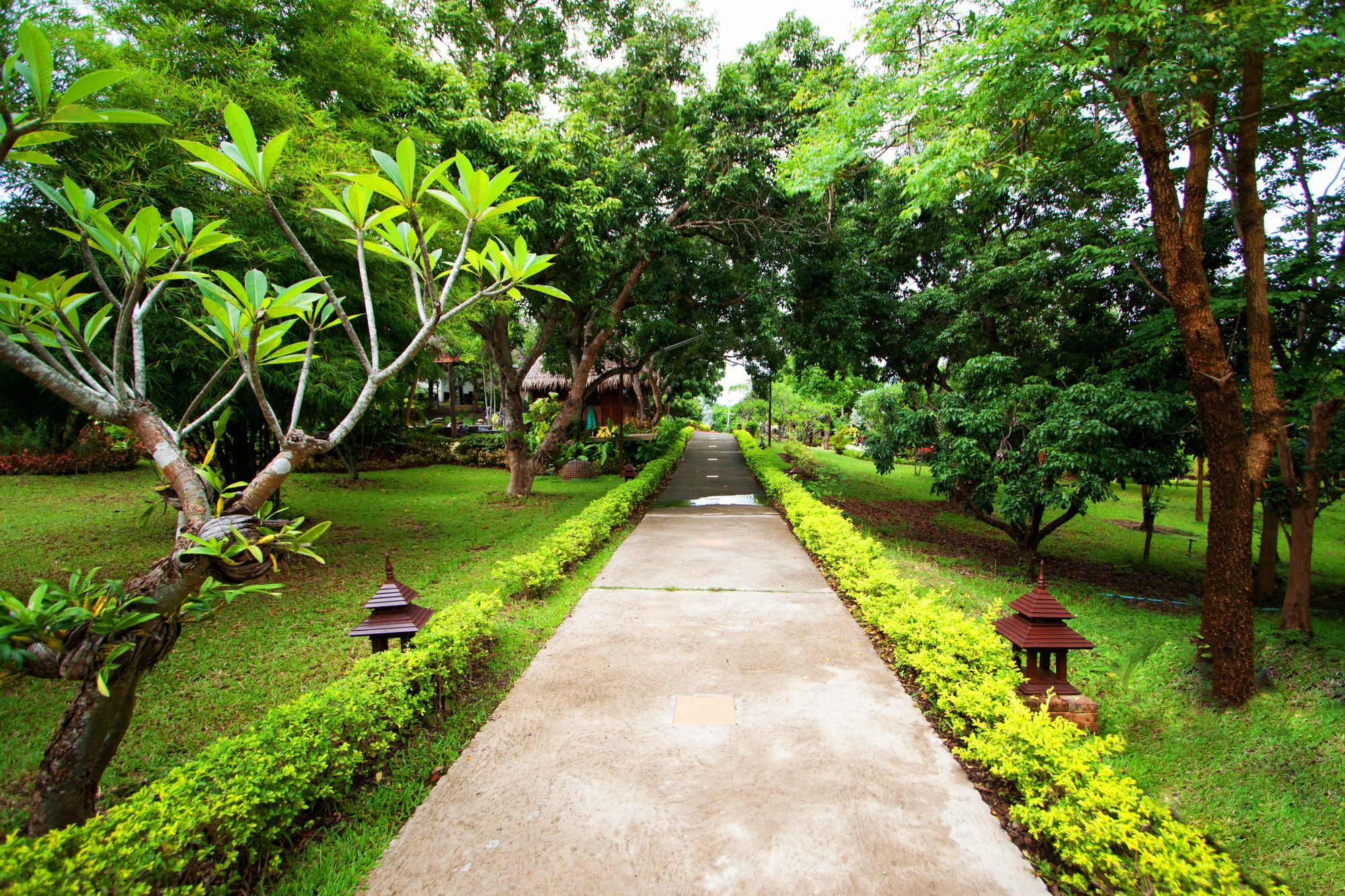 Touch Star Resort - Doi Inthanon Chom Thong Exterior foto