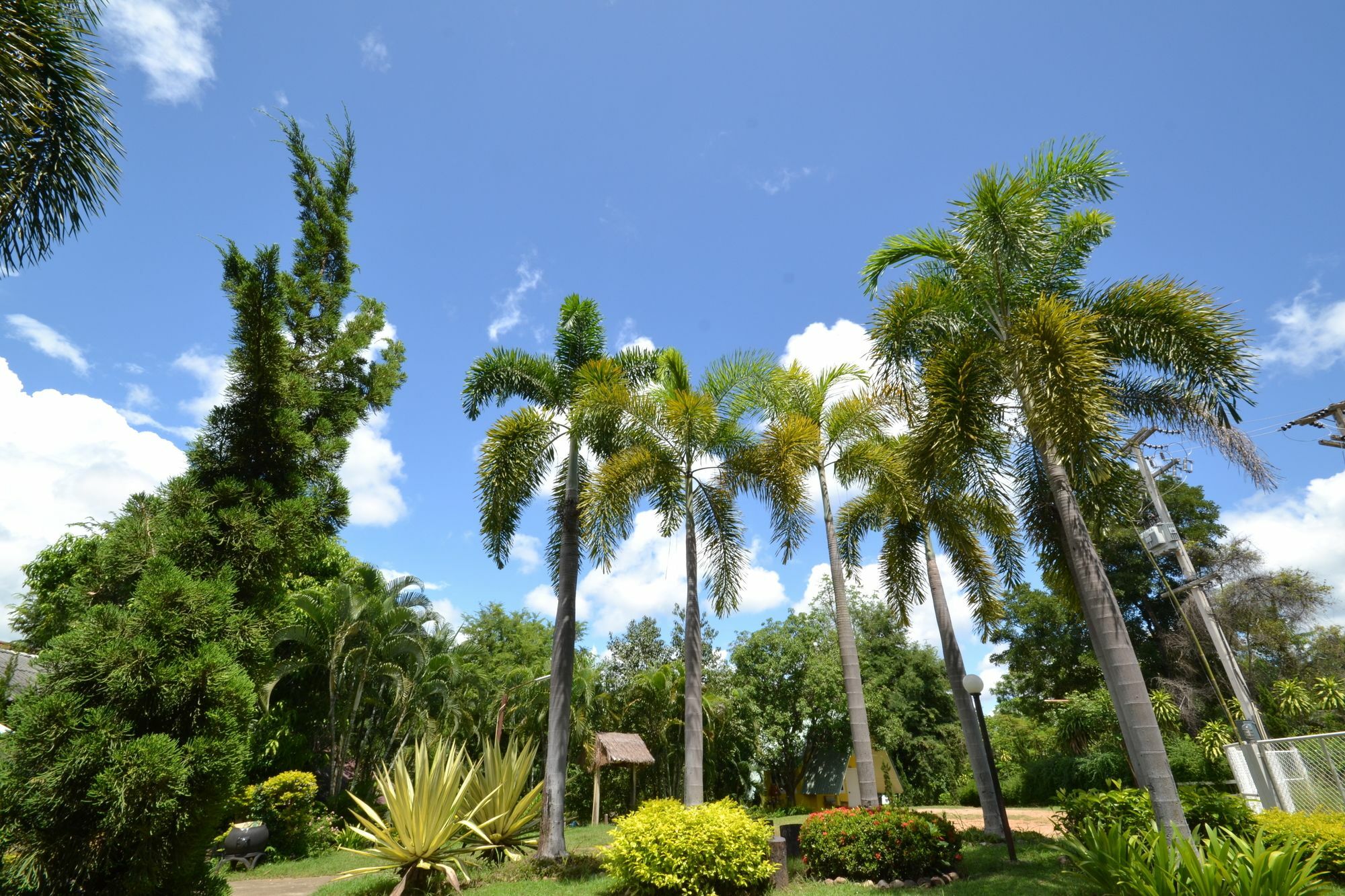 Touch Star Resort - Doi Inthanon Chom Thong Exterior foto